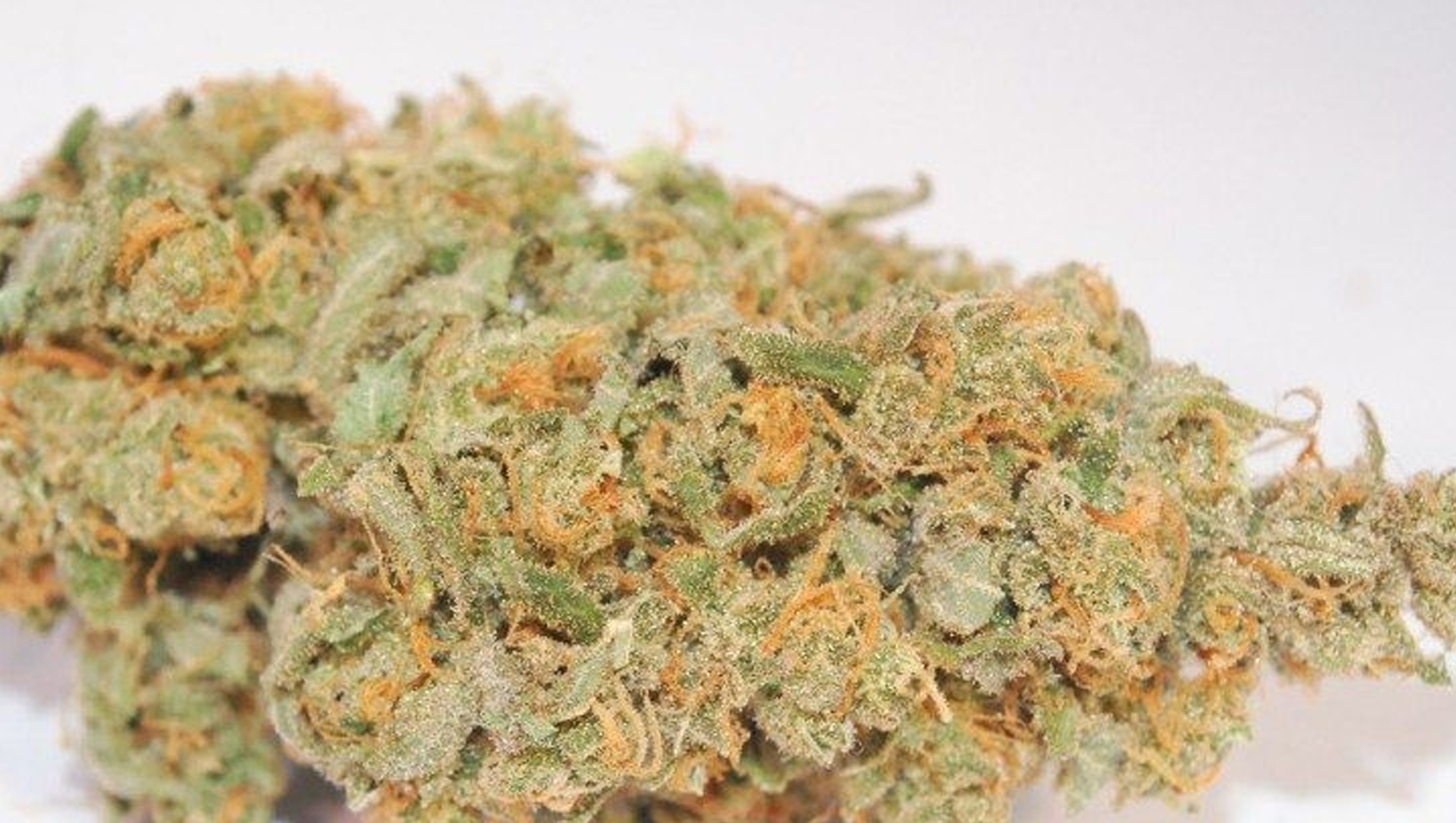 Lemon Haze Review | Cannabis | Marijuana Strains UK