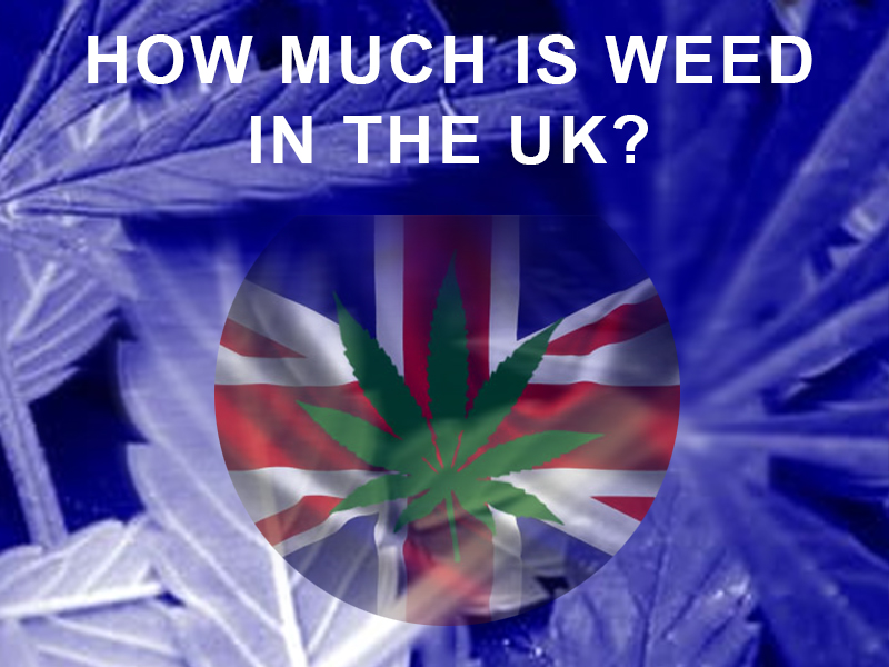 How much does weed cost in the UK? – UK Weed Prices 2022 Survey