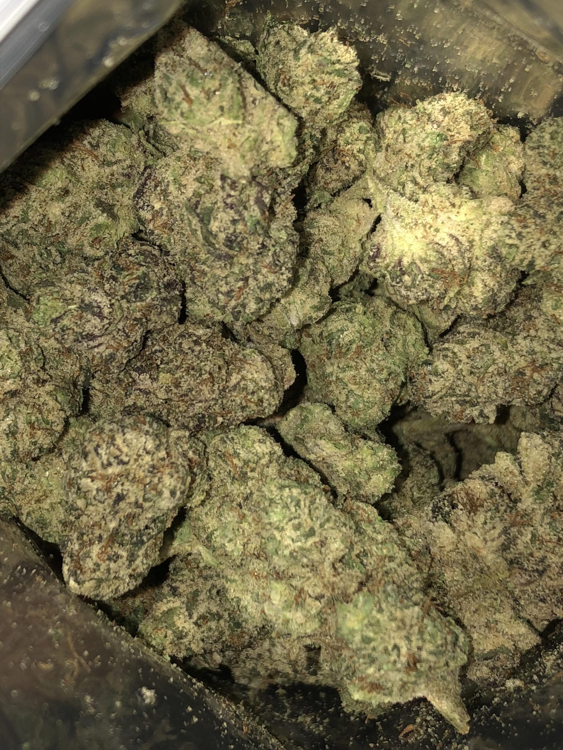 Runtz UK Strain Review | Cannabis | Weed UK